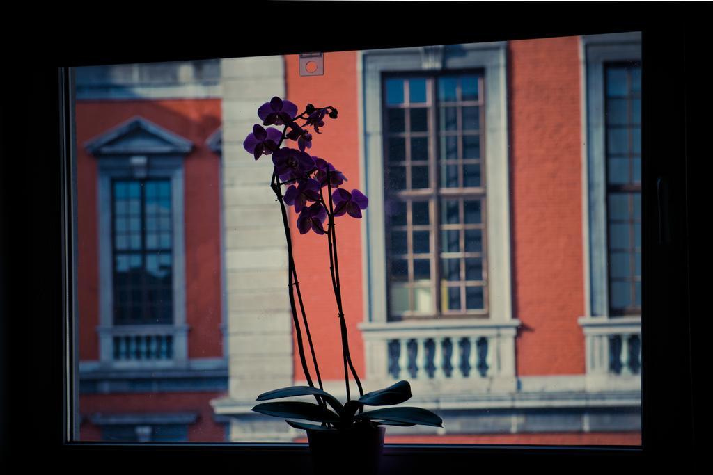 Appart-Hotel Leopold Liege Centre 部屋 写真